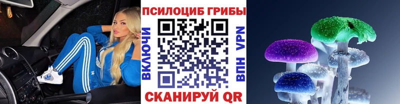 Галлюциногенные грибы Psilocybe  закладки  ОМГ ОМГ зеркало  Сусуман 